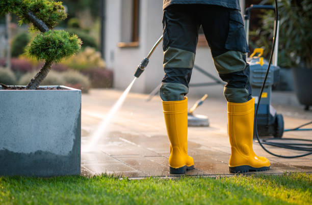 Best Pressure Washing Near Me  in Mill Hall, PA